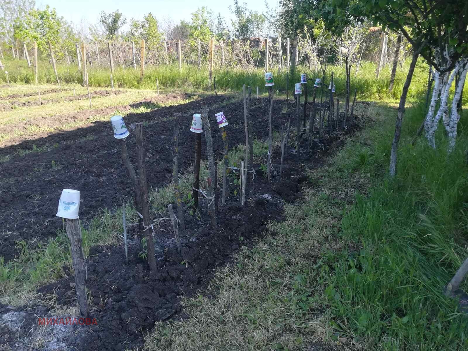 ������� ���� | Imot.bg � ����������� 12