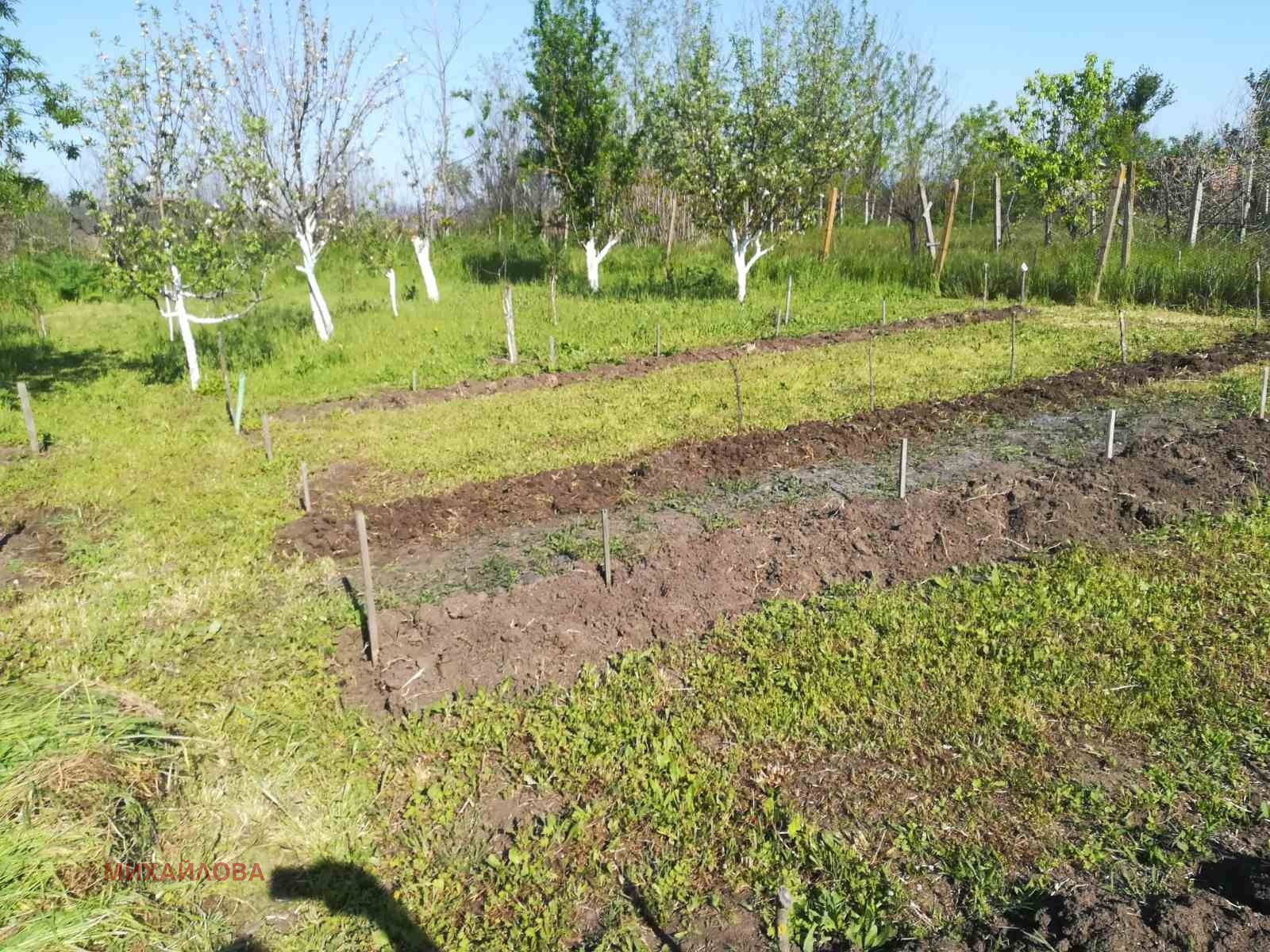 ������� ���� | Imot.bg � ����������� 13