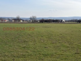 ������ ������� ������