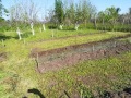Продава КЪЩА, с. Сърнево, област Стара Загора, снимка 13