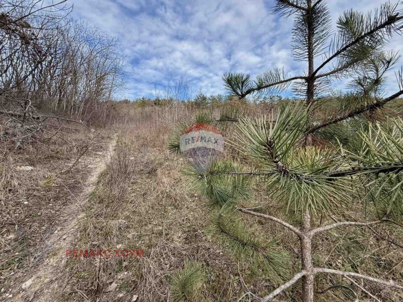 Продава ПАРЦЕЛ, гр. Балчик, област Добрич, снимка 9 - Парцели - 53490487