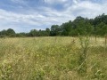 Продава ПАРЦЕЛ, с. Каленовци, област София област, снимка 2