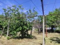 Продава КЪЩА, област Стара Загора, гр. Николаево • 55000 € / 107570.65 лв. • 36085017 10