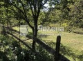 Продава ПАРЦЕЛ, област Ловеч, гр. Тетевен • 25000 € • 21143927 — Holmes.bg