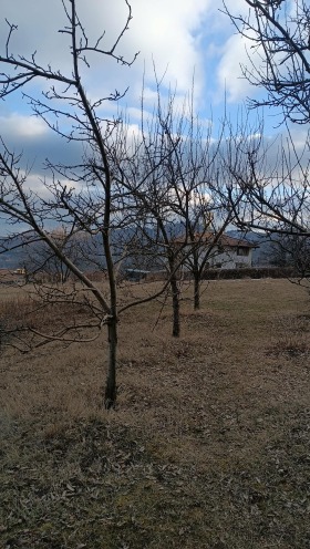 ПАРЦЕЛ, 700 m2