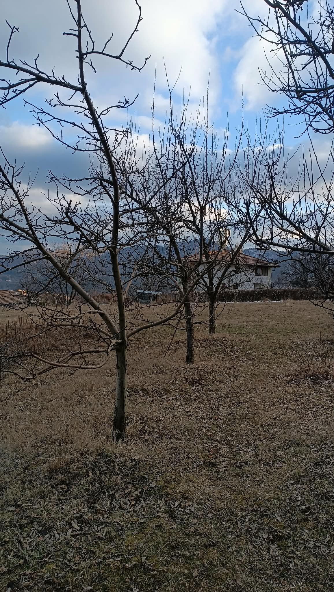 Продава ПАРЦЕЛ, гр. Смолян, Невястата