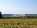 Продава ПАРЦЕЛ, с. Рогачево, област Добрич, снимка 2
