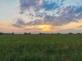 Продава ПАРЦЕЛ, град Пловдив, Прослав • 231880 € • 52288653 — Holmes.bg
