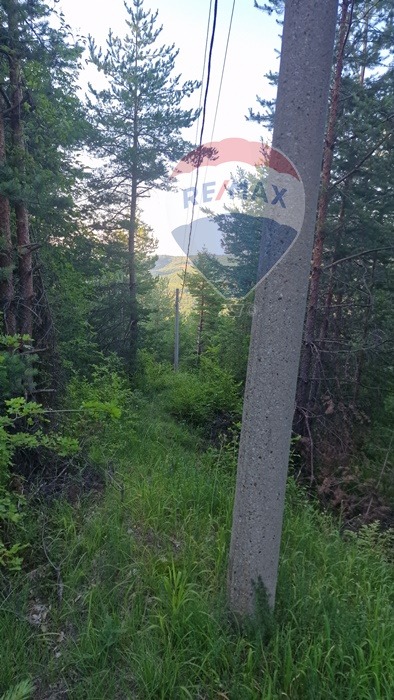 Продаја  Плот регион Пловдив , Цар Калојан , 3034 м2 | 17981450 - слика [5]