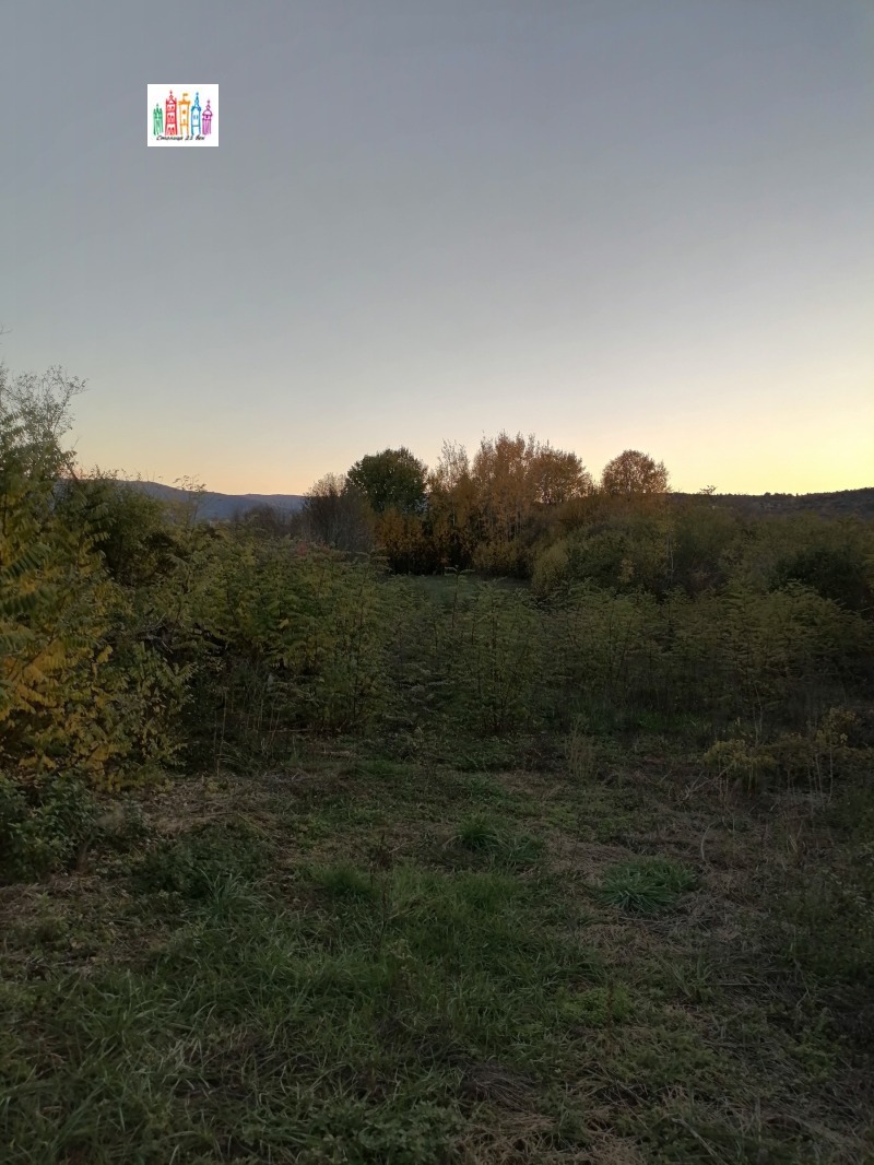 Продава ПАРЦЕЛ, с. Прибой, област Перник, снимка 2 - Парцели - 52291521