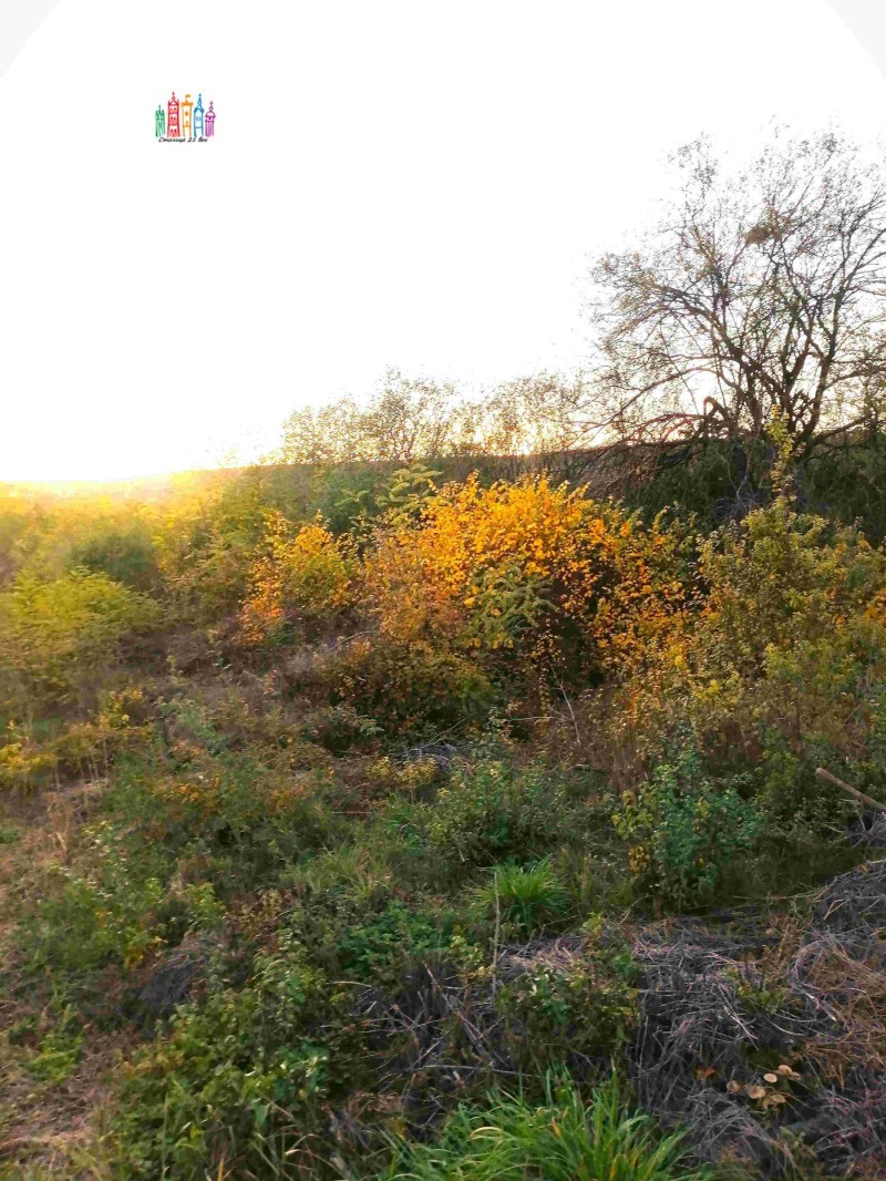 Продава ПАРЦЕЛ, с. Прибой, област Перник, снимка 5 - Парцели - 52291521