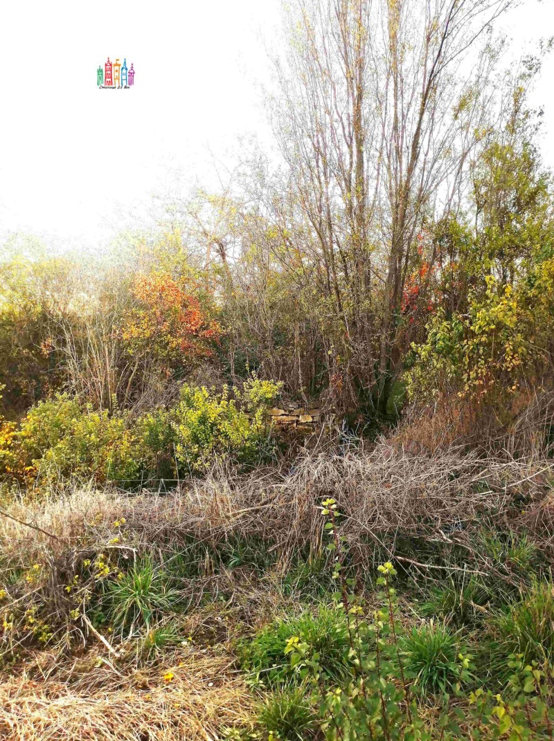 Продава ПАРЦЕЛ, с. Прибой, област Перник, снимка 4 - Парцели - 52291521