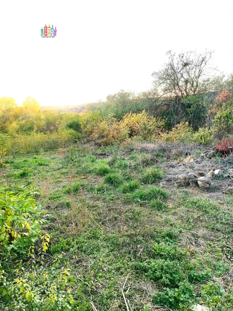 Продава ПАРЦЕЛ, с. Прибой, област Перник, снимка 11 - Парцели - 52291521