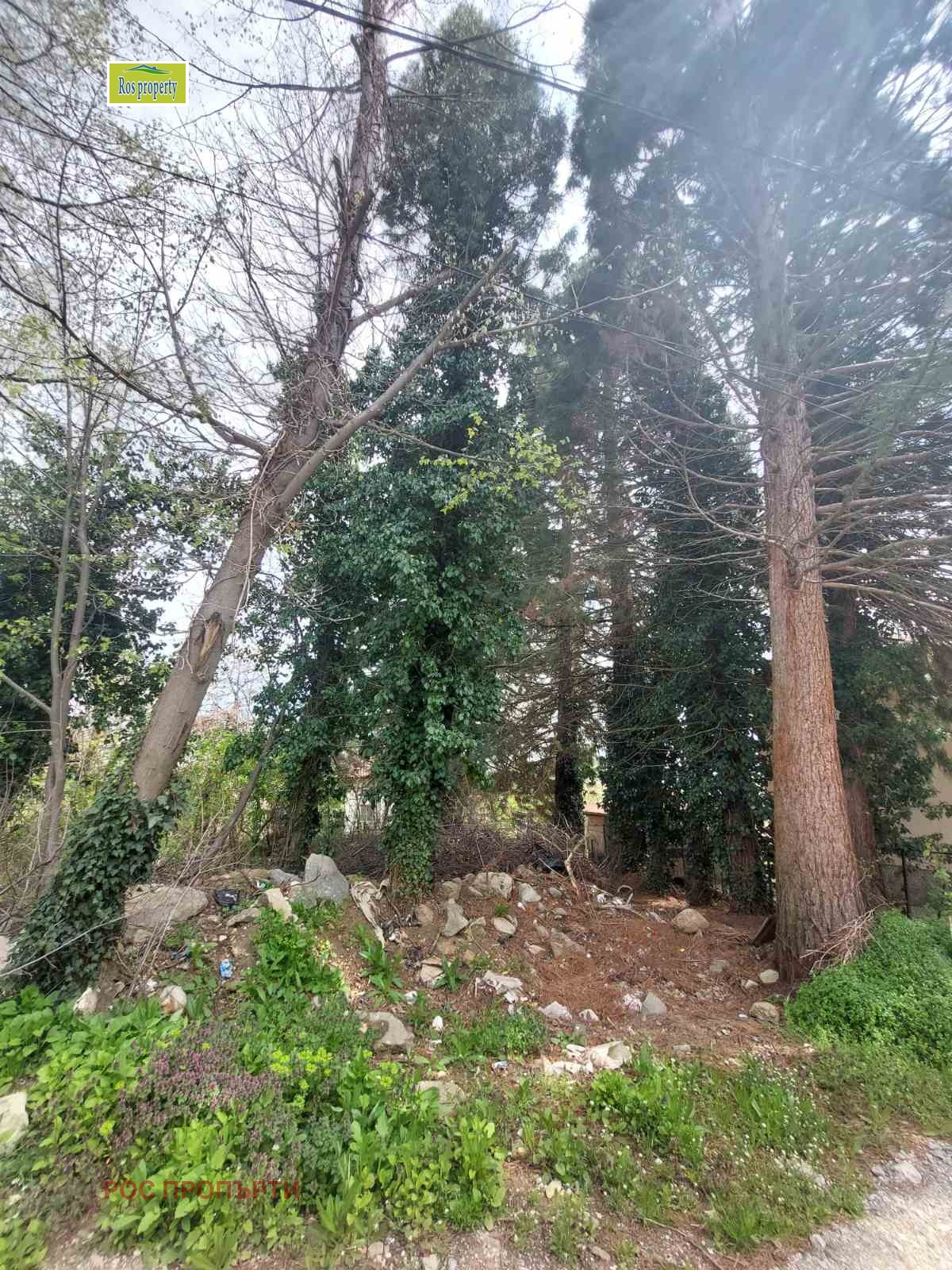 ������� ������ | Imot.bg � ����������� 2