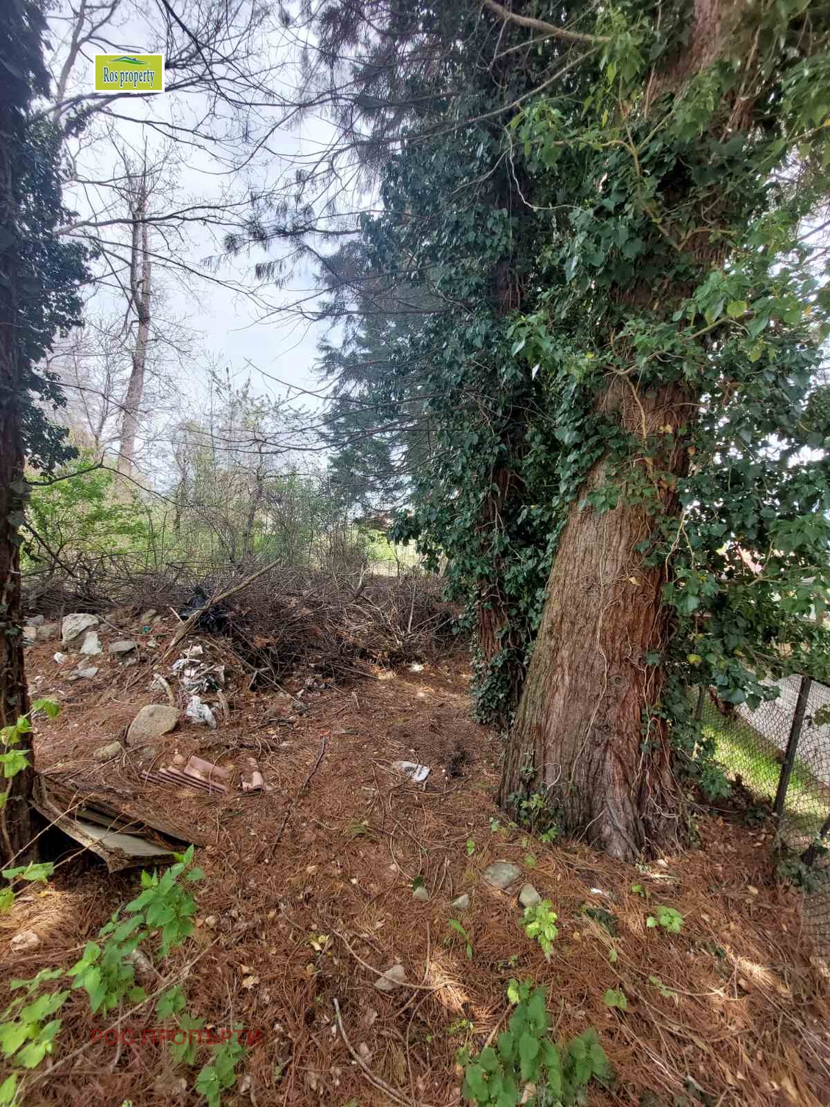 ������� ������ | Imot.bg � ����������� 1