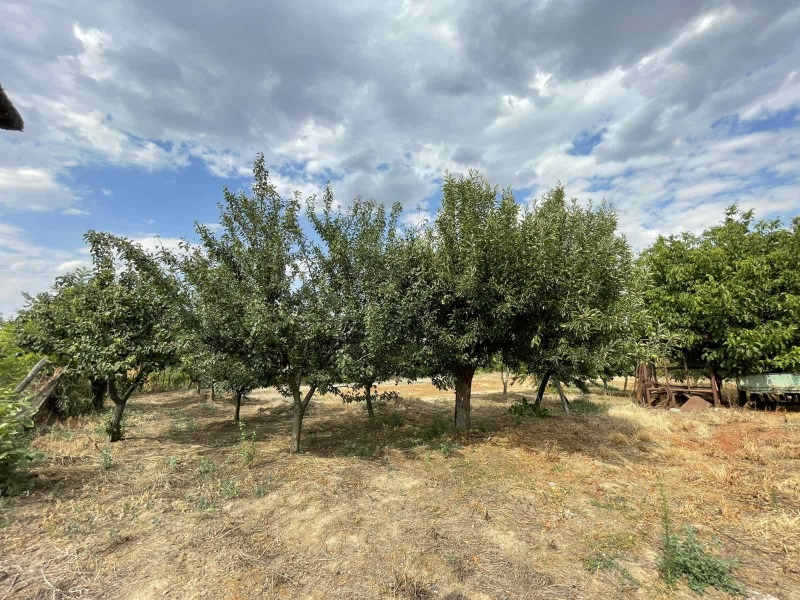 Продава КЪЩА, с. Васил Левски, област Силистра, снимка 15 - Къщи - 52462241