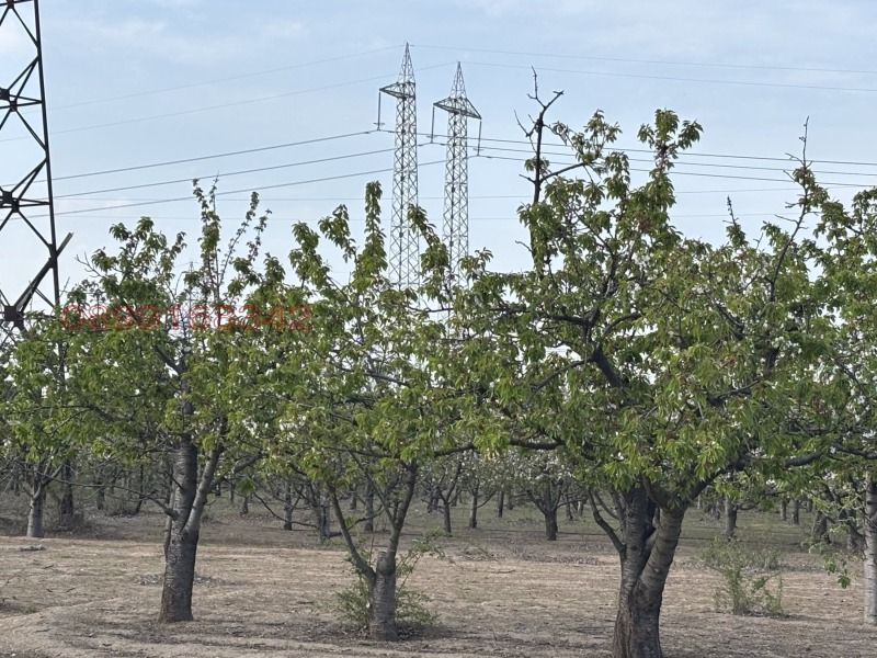 Продава ПАРЦЕЛ, с. Главиница, област Пазарджик, снимка 7 - Парцели - 53598581