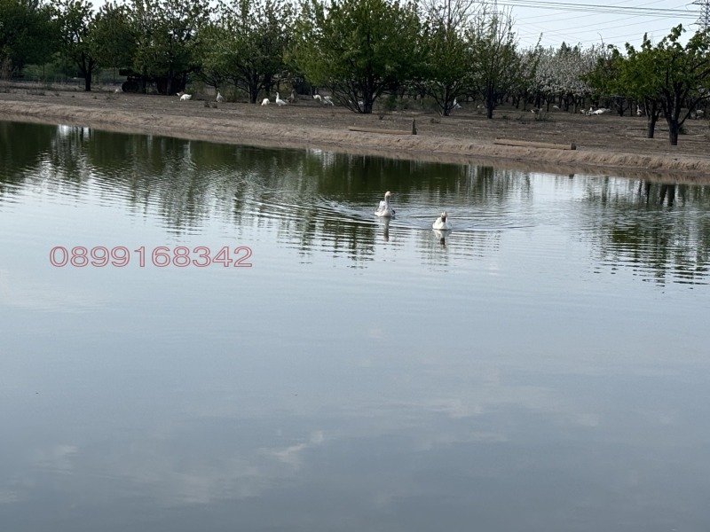 Продава ПАРЦЕЛ, с. Главиница, област Пазарджик, снимка 3 - Парцели - 53598581