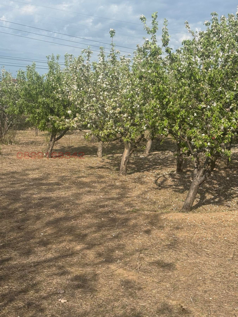 Продава ПАРЦЕЛ, с. Главиница, област Пазарджик, снимка 9 - Парцели - 53598581