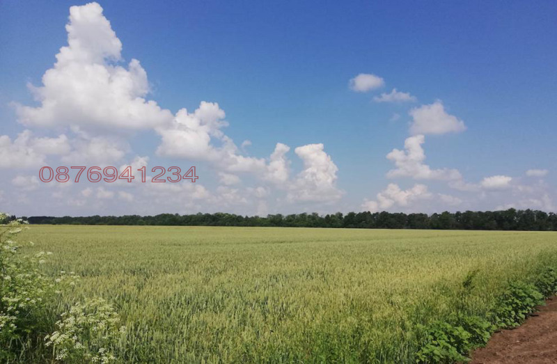 Продава ЗЕМЕДЕЛСКА ЗЕМЯ, гр. Генерал Тошево, област Добрич