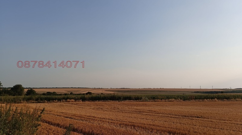 Продава ПАРЦЕЛ в област Добрич, с. Полковник Минково - 2400 кв.м / 29 000 € » 56 719.07 лв.