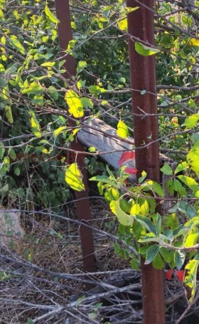 ������� ������ | Imot.bg � ����� ������ 9