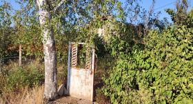 ������� ������ | Imot.bg � ����� ������ 5