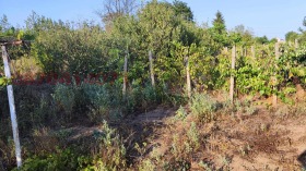 ������� ������ | Imot.bg � ����� ������ 6