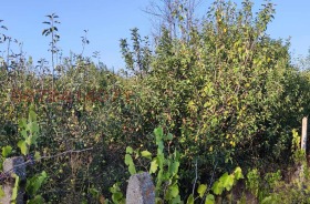 ������� ������ | Imot.bg � ����� ������ 7