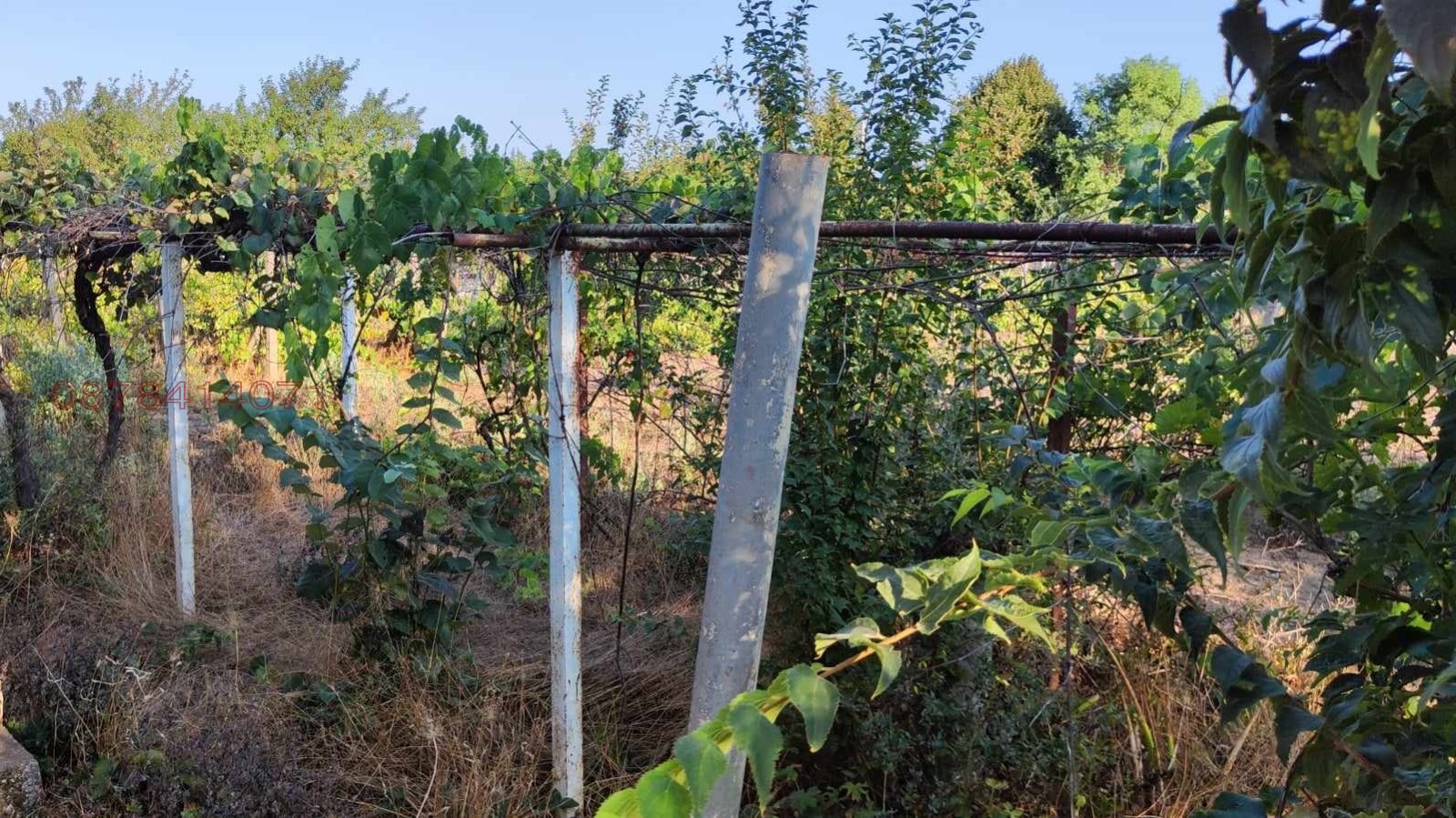 Продава ПАРЦЕЛ, с. Полковник Минково, област Добрич, снимка 8 - Парцели - 54346565