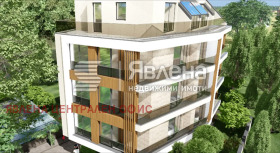 ����� ������� 3-�����,���� �����, �����