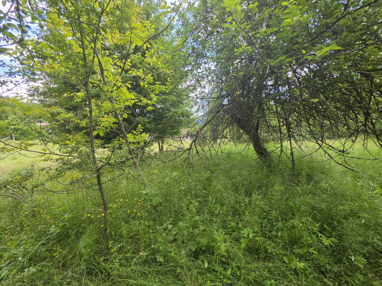 Продава ПАРЦЕЛ, гр. Априлци, област Ловеч, снимка 6 - Парцели - 55069151