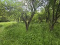Продава ПАРЦЕЛ, гр. Априлци, област Ловеч, снимка 5
