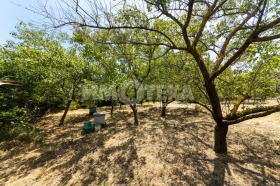 ������� ������ | Imot.bg � ����� ������ 8