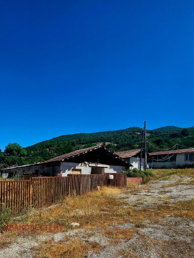 ����� ������� �����,��. ������, ������ �����