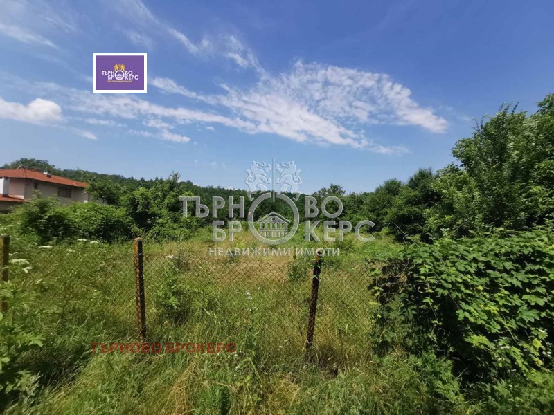 Na sprzedaż  Działka region Wielkie Tyrnowo , Nacowci , 1000 mkw | 65582499
