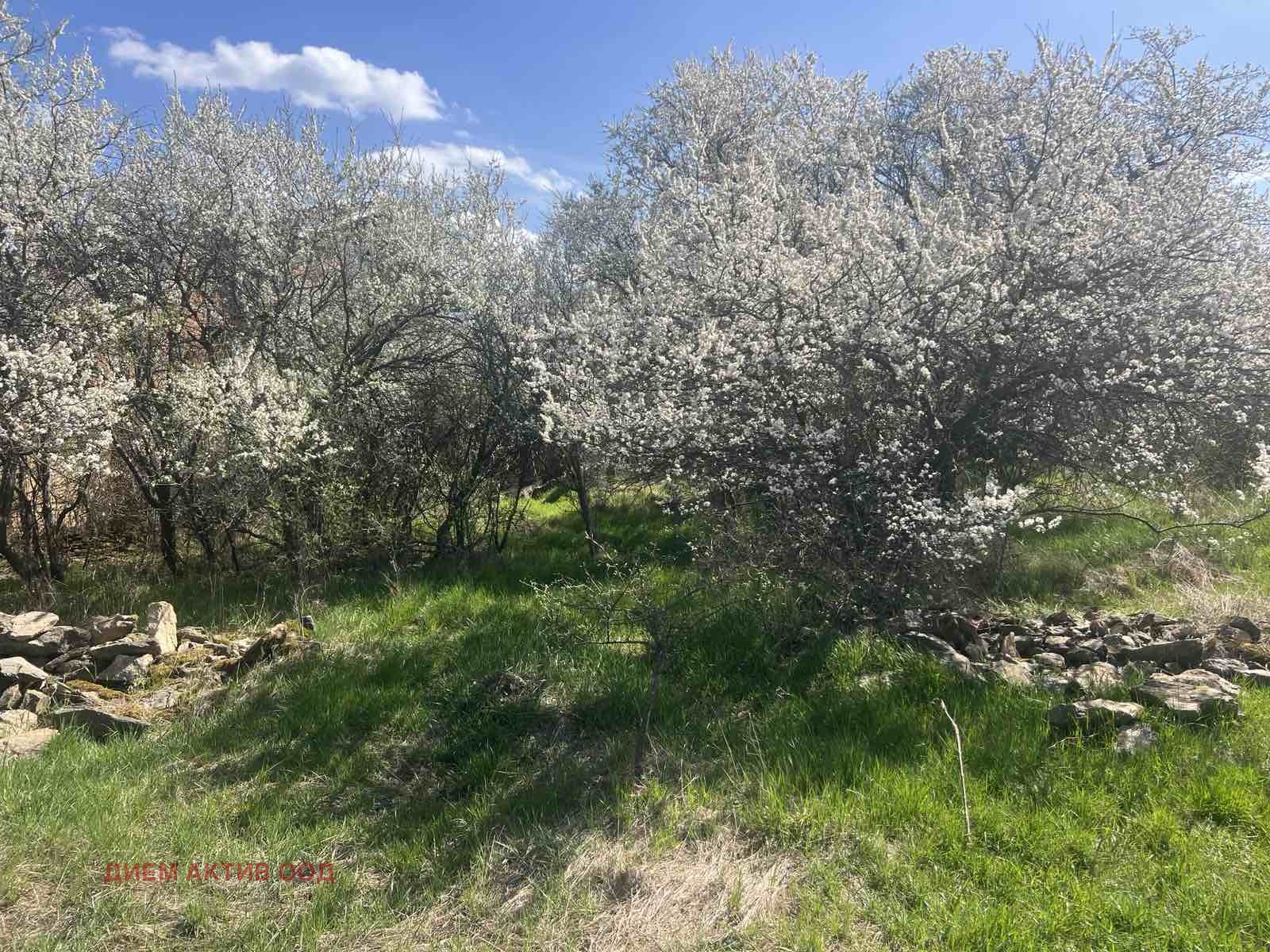 Продава КЪЩА, гр. Ихтиман, област София област, снимка 7 - Къщи - 54617001
