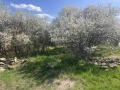 Продава КЪЩА, гр. Ихтиман, област София област, снимка 7