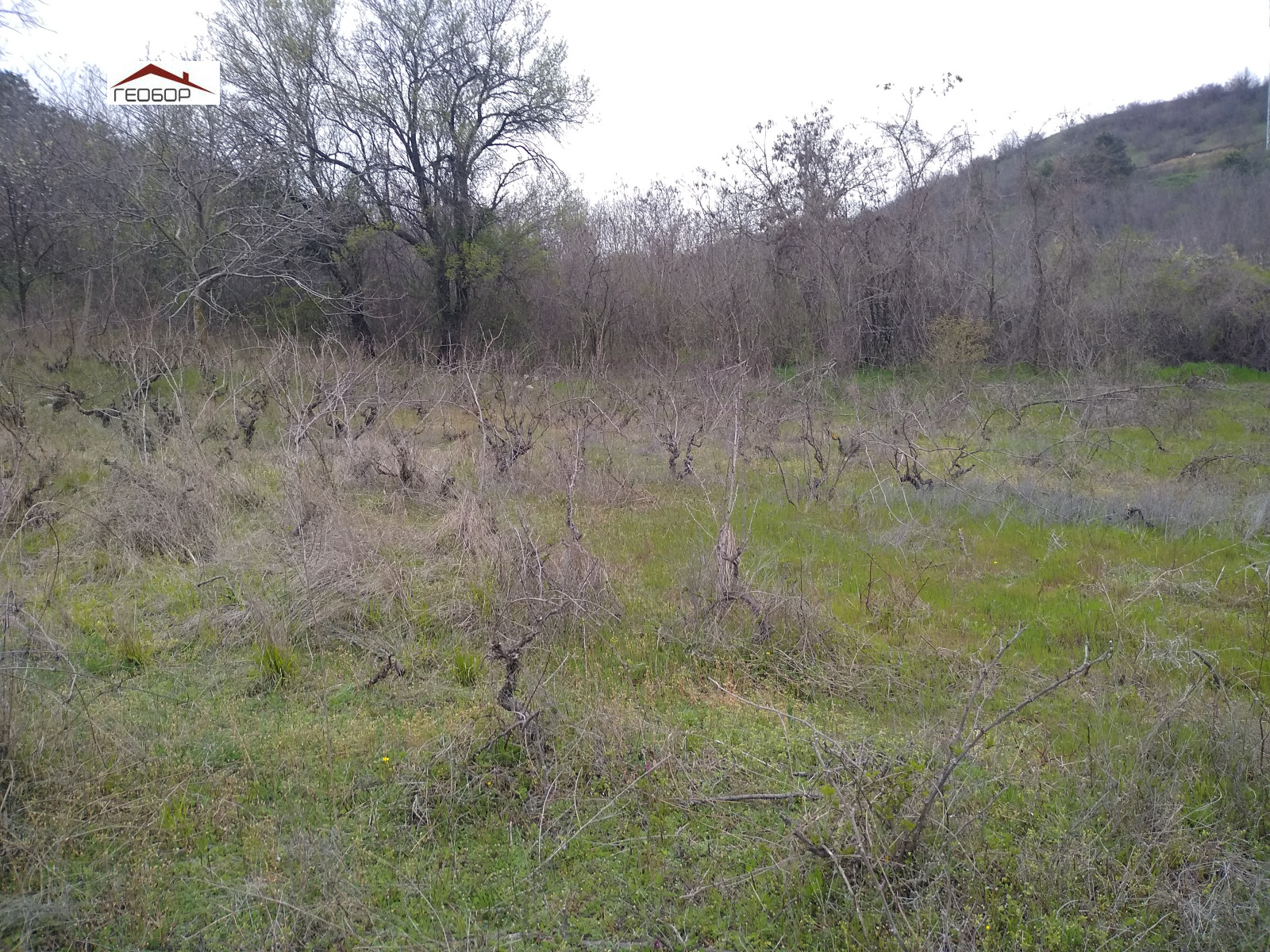 ������� ���� | Imot.bg � ����������� 5