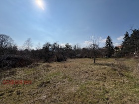 ����� ������� ������,���� �����, �-� ���������