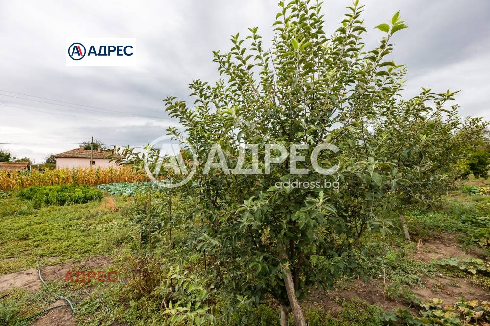 Продава КЪЩА, с. Генерал Киселово, област Варна, снимка 15 - Къщи - 53680388