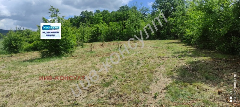 Til salgs  Hus region Gabrovo , Sokolovo , 130 kvm | 70180110 - bilde [3]
