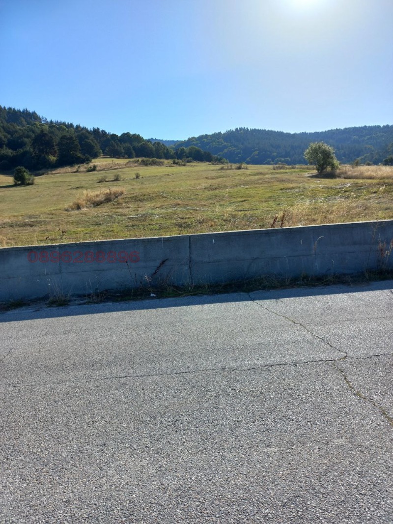 Продава ЗЕМЕДЕЛСКА ЗЕМЯ, гр. Батак, област Пазарджик, снимка 2 - Земеделска земя - 52782911