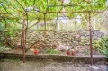 Продава КЪЩА, област Враца, с. Типченица • 35000 € • 45517562 — Holmes.bg