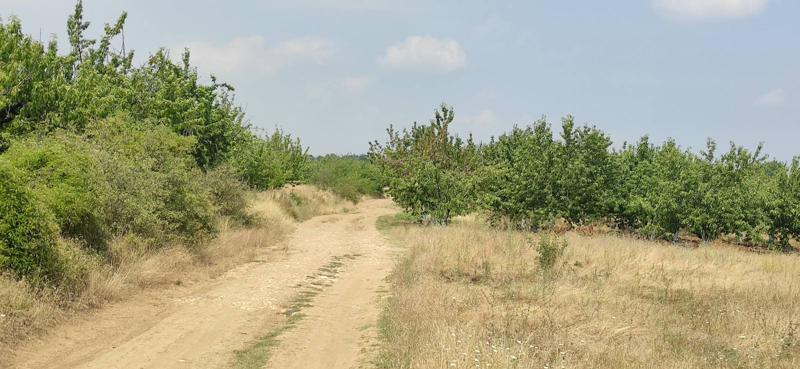 ������� ������ | Imot.bg � ����������� 5