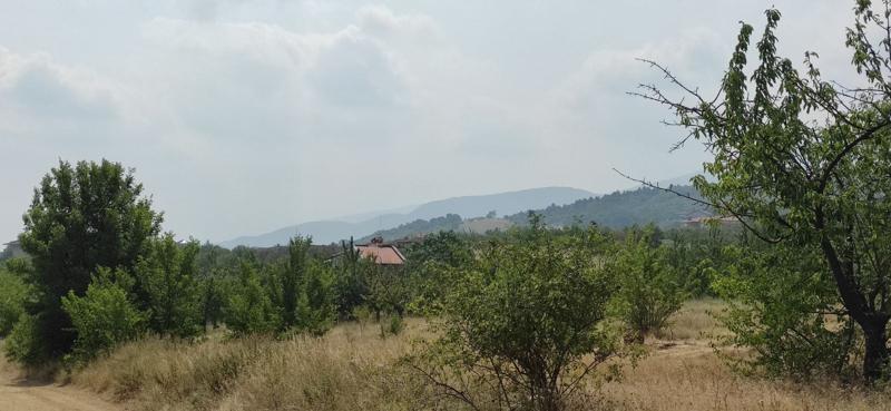 ������� ������ | Imot.bg � ����������� 1