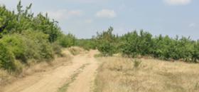 Plot Brestnik, region Plovdiv 5