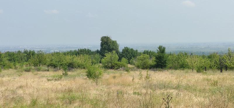 For Sale  Plot region Plovdiv , Brestnik , 1500 sq.m | 39442262 - image [2]