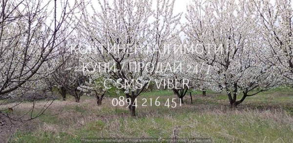 ������� ������ | Imot.bg � ����������� 5