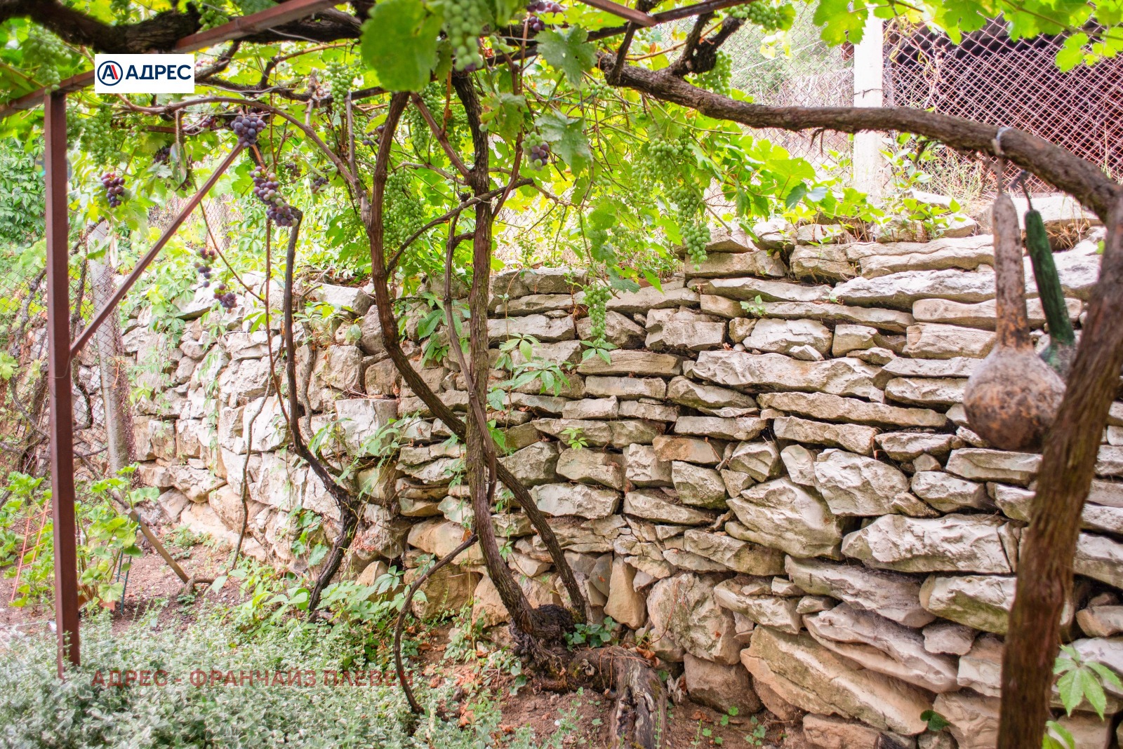 ������� ���� | Imot.bg � ����������� 10